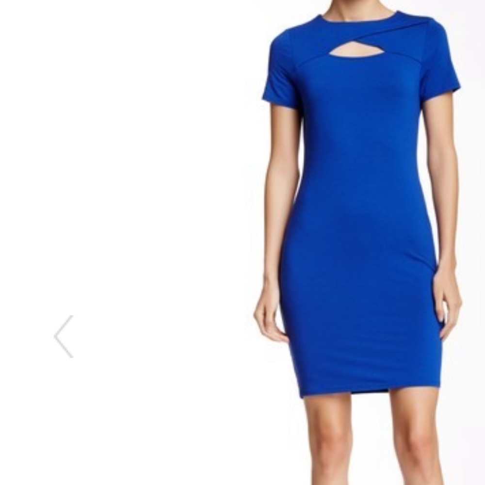 Vince Camuto Dress